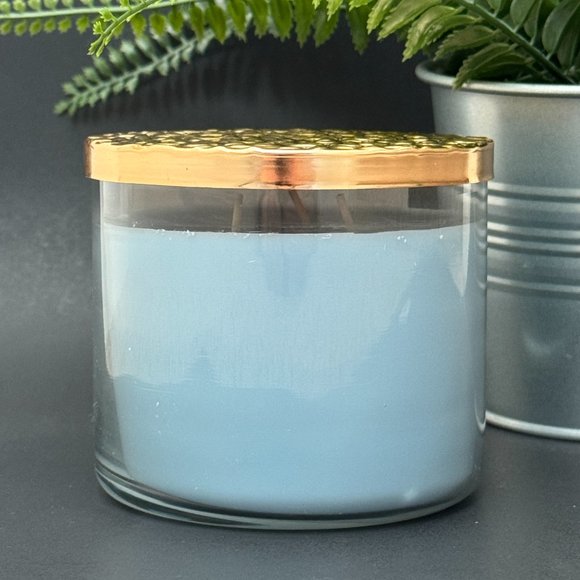 BBW Fresh Spring Morning Bath & Body Works 3 Wick Candle - Picture 2 of 10